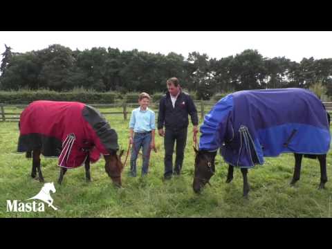 Fieldmasta Turnout Rug
