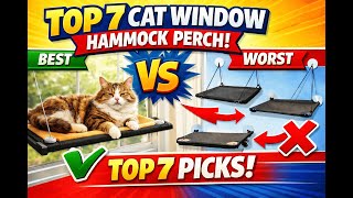 Top 7 Best Cat Window Hammock Perch (Exclusive) Review Guide