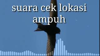 Download lagu Suara walet cek lokasi ( Ceklok ) MANTAP mp3 Download lagu Suara walet cek lokasi ( Ceklok ) MANTAP mp3