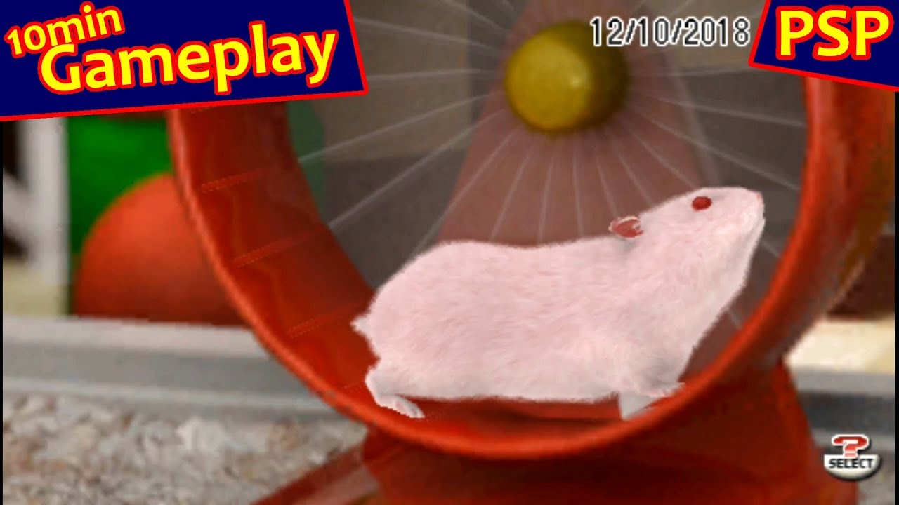 Gameplay Video