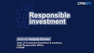Responsible investment: less complexity, more meaning