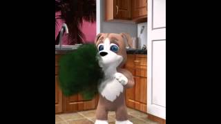 Taylor taking duke pup