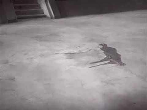 Sybil "She's A Machine" (2006 YouTube archive)