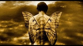 CELLS  -  THE SERVANT  -  (2004)