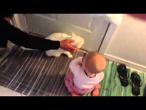 Some Roslyn & Guinness interaction sept 2013