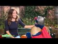 Sesame Street Super Grover Helps Sarah Jessica Parker Find Big