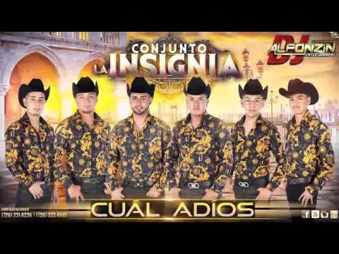 Conjunto la Insignia - Cuál Adiós | 2015