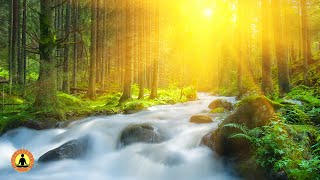 🔴 Relaxing Music 24/7, Sleep Music, Stress Relief Music, Spa, Meditation, Yoga, Zen, Sleeping Music