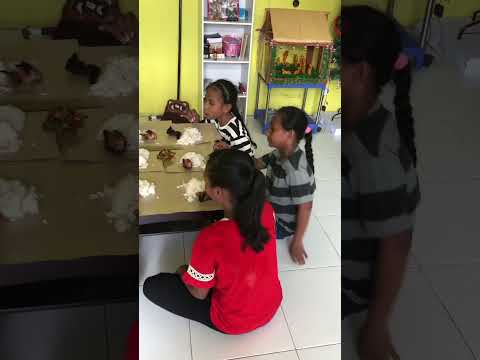 Tetap Baku sayang yah #cover