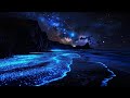No Ads Relaxing Music For Deep Sleep Anxiety Relief Melatonin Release Stop Overthinking