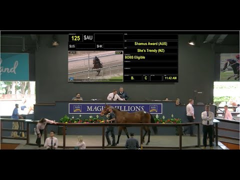 2019 Gold Coast 2YOs in Training Sale Day 2