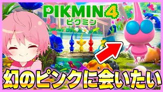 【ピクミン4】幻の『ピンクピクミン』に会いたい！