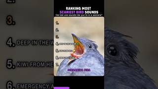 Download lagu Most Scariest Bird Sounds #shorts #birds mp3