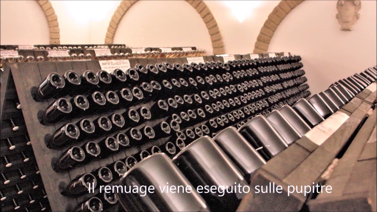 Villa Matilde - Falerno del Massico DOC