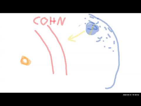 2020 05 21 PM Public Teachings in German - Öffentliche Schulungen in Deutsch