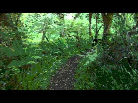 The Song of Wandering Aengus.wmv