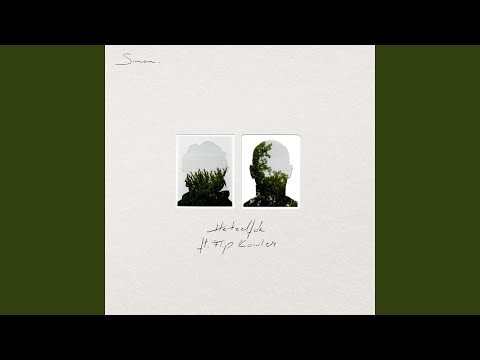 Hetzelfde (feat. Flip Kowlier)