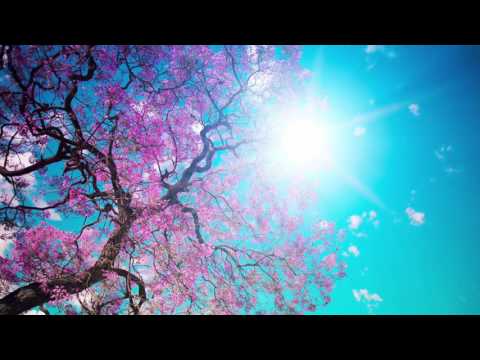 Aperio ft. Harris Hameed - Life Lessons