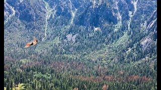 DID SOMETHING ILLEGAL IN YOSEMITE VALLEY!! Don't try at home...