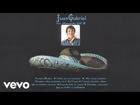 Juan Gabriel - Cuando Decidas Volver (Cover Audio)