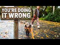 LEASH PULLING, What You’ve Been Told is Backwards
