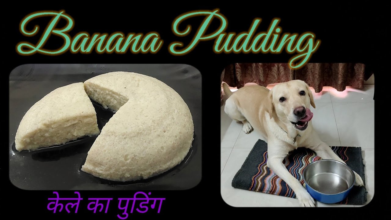Can Dogs Safely Indulge in Banana Pudding? Find Out Here! Fruit Faves