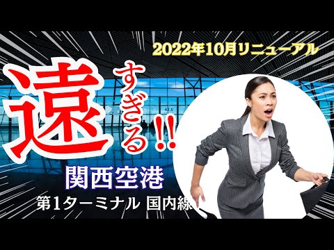衛星から見た伊坂湾。右下に見える人工島に関西国際空港があります。