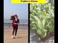 Prajakta Dusane Vs Shama Shikander L Desi Indian Hot Sexy Beautiful Dance L Short Shorts