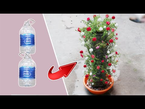 Let s grow bitter melon for your family this way it s very fruity and easy to make