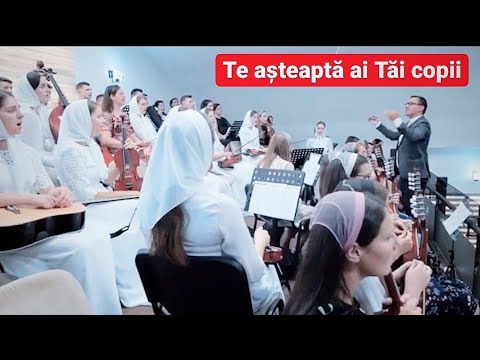 Orchestra din Vicovu De Sus - Te-asteaptă ai Tăi copii, te-asteaptă ca să vii