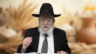 דף היומי בחצי שעה – מסכת מנחות דף ק”ז