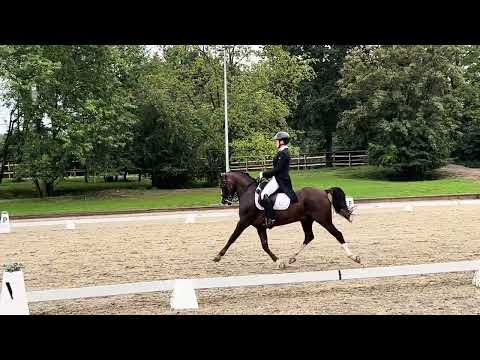 Call me Carlchen - 05.08.2023 - Troisdorf - Inter A