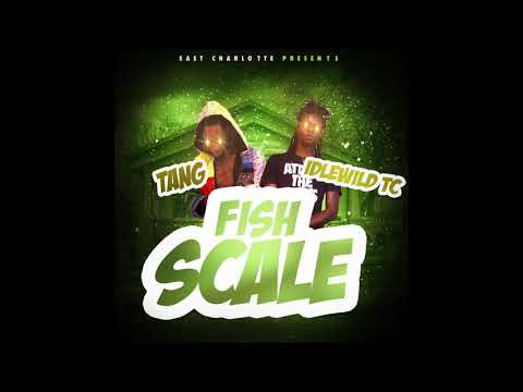 Idlewild TC - Fishscale (ft. Tang) Prod. Dro To Smoove