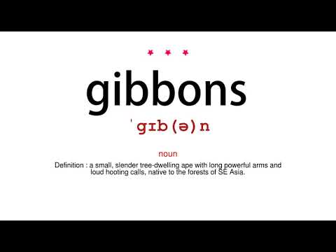 How to pronounce gibbons - Vocab Today
