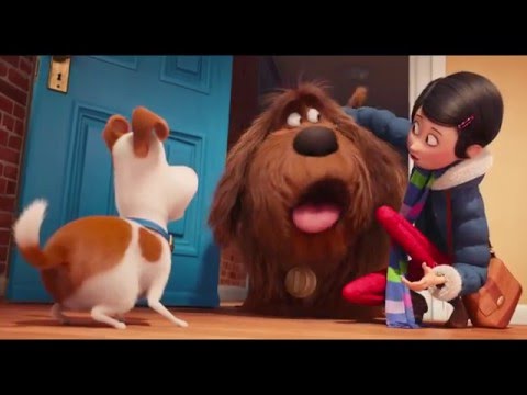 Trailer Alert: The Secret Life of Pets | Universal Pictures