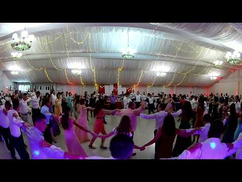 Formatia Argument  Sarba Live 2019