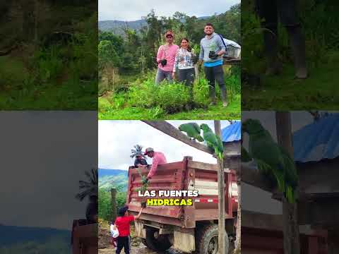 ENTREGA DE ÁRBOLES NATIVOS PARA LA RESTAURACIÓN ECOLÓGICA EN VENECIA