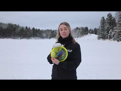 TEAM GURU TESTER NYE GURU-DISKER