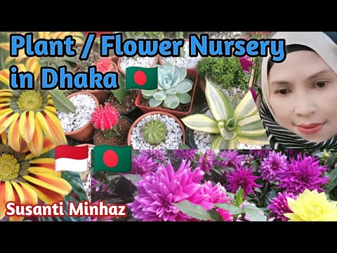 Plant And Flower Nursery In Dhaka | Doel Chattar Flower Nursery❗Penjual Tanaman Hias di Banglades