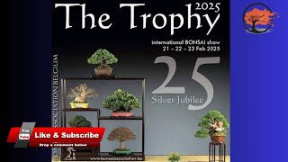 The Trophy 2025 Bonsai Show Features the Best Bonsai Trees in the World Right Now
