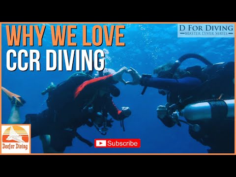 Rebreather (CCR) Diving: 5 Elements Which Will Make You Go "WOW"