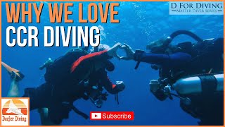 Rebreather (CCR) Diving: 5 Elements Which Will Make You Go "WOW"