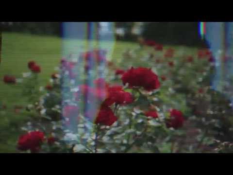 EloimMeth - She Goes (Official Video)