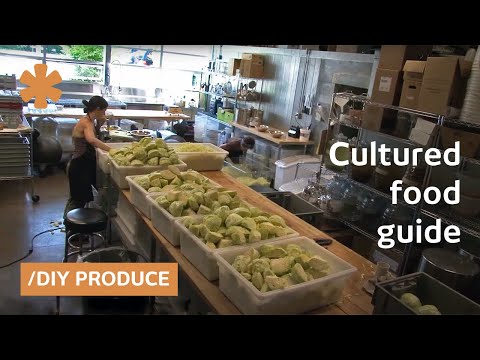 Cultured food guide: pickles, living soda, veggies, and more
