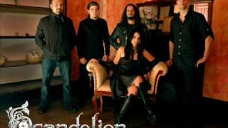 Scandelion Where the dreams comes true