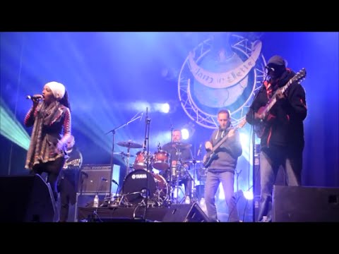 Mo'Kalamity and the Wizards in concert at Jam in Jette Festival 2016 (Full HD)