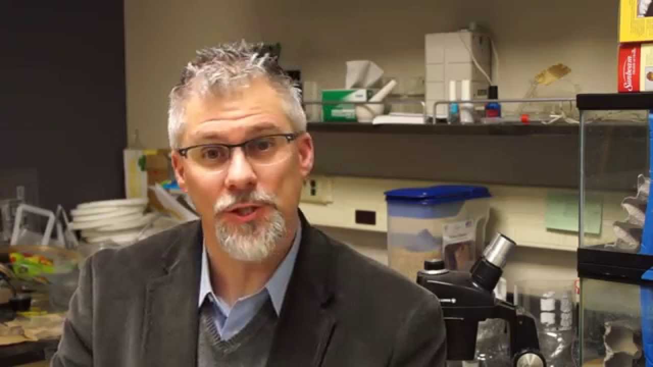 Student Faculty Research Take 4