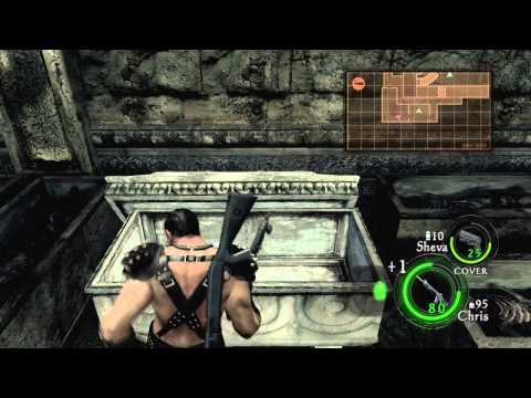 RE5 Walkthrough Part 38: Professional Bullshit