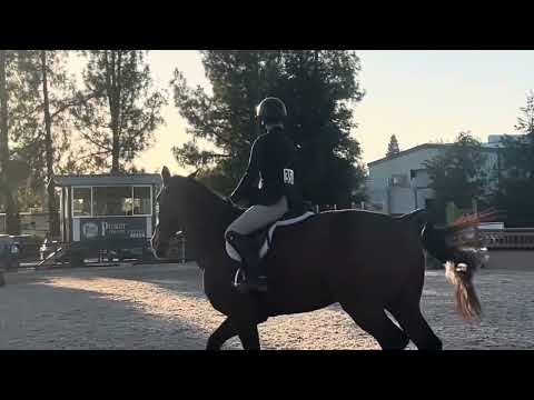 Daphne Gretton and Iglesias O.A MACLAY MEDAL FLAT PHASE First Place