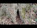 Vertical Cracks Are Bad News